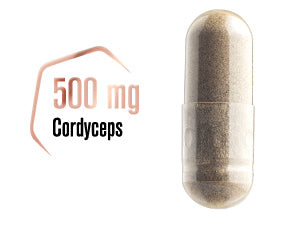 Cordyceps-Kapsel